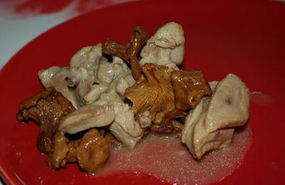 Sauté De Dinde Aux Girolles