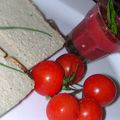 FLAN d'Aubergines et con coulis de tomates fraiches