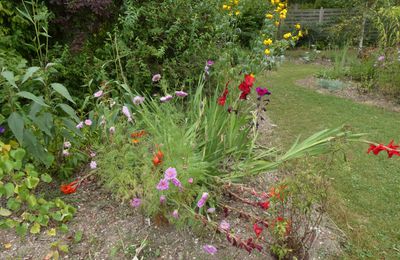 Quelques photos de mon jardin