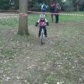 Cyclo-cross de Tinqueux