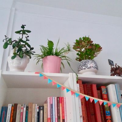 ▼▼▼ C'est le week-end! ▼▼▼