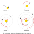 Professeurs tournesols
