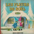 LES FLEURS DE NOEL