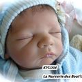 KYLIAN Adopté par MAGALI