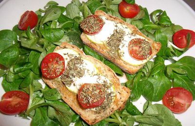 TARTINE CHEVRE TOMATES ET COURGETTES