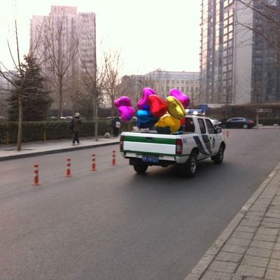 Belle saisie pour la Police !