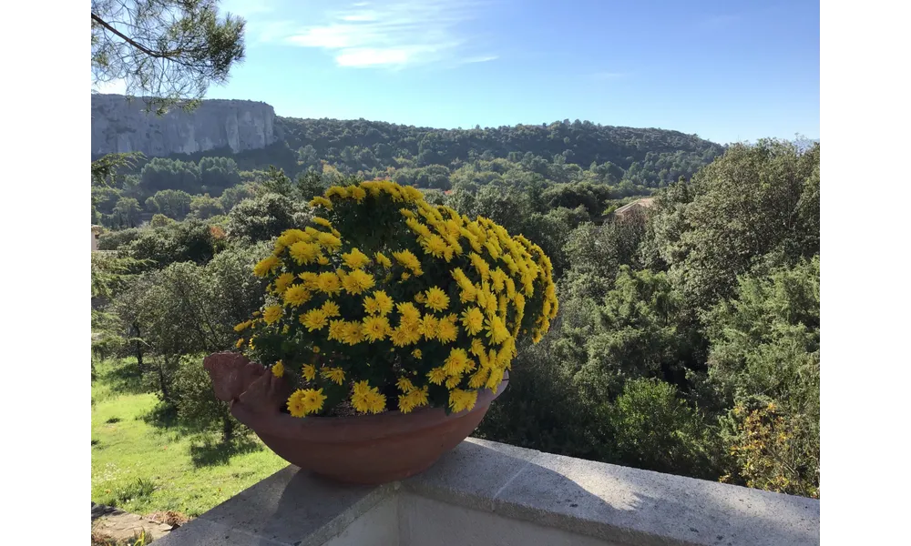 BOUQUET ET PULL