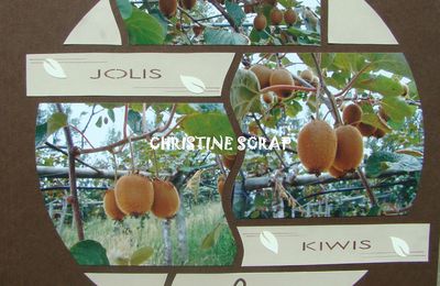 JOLIS KIWIS