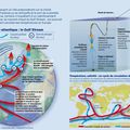 Les océans, grands régulateurs du climat