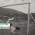 01 - Bertocchi Angelo - N°332