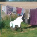 Une licorne dans mon jardin...