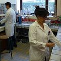 Montpellier : des chercheurs inventent un susbtitut au Bisphénol A