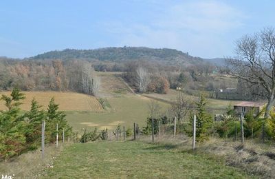 [Drôme] promenade champêtre à Montvendre