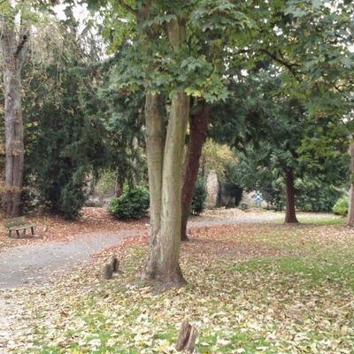 Arigato Zen en Belgique et en France (octobre-novembre 2014)