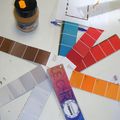 rénovation foyer : phase choix des couleurs