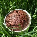 Muffins tout choco pour un goûter sur l'herbe