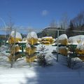 Parc national du Mont Tremblant