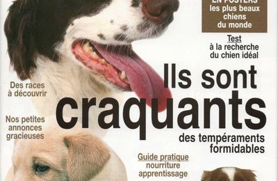 Spécial Chiens N° 4 : Les Comprendre Et Les Éduquer 