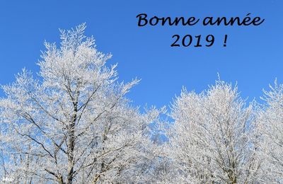 Bonne année !