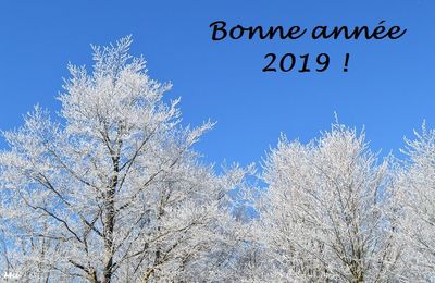 Bonne année !