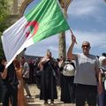 Le drapeau algérien en Palestine 