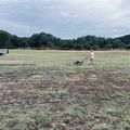 Colle de Grune : Vol-Tonte sous un ciel mitigé