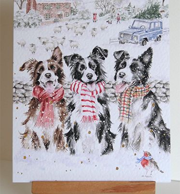 Cartes de voeux dans ma BAL 1