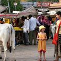 Dans le marché de Jodhpur