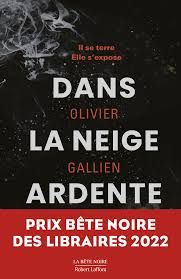 Dans la neige ardente de Olivier Gallien