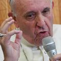 Le pape a-t-il raison d’utiliser l’expression "théorie du genre" ?
