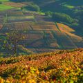 Break rural dans le Rhône