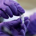 Interpol avertit contre la mafia du vaccin anti-covid