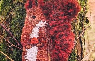 Une pâquerette dans les cheveux