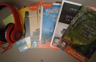 Baz'art, heureux membre du Jury du Prix Audiolib 2018 !