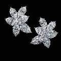 Les diamants d'Harry Winston