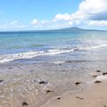 Rangitoto Island