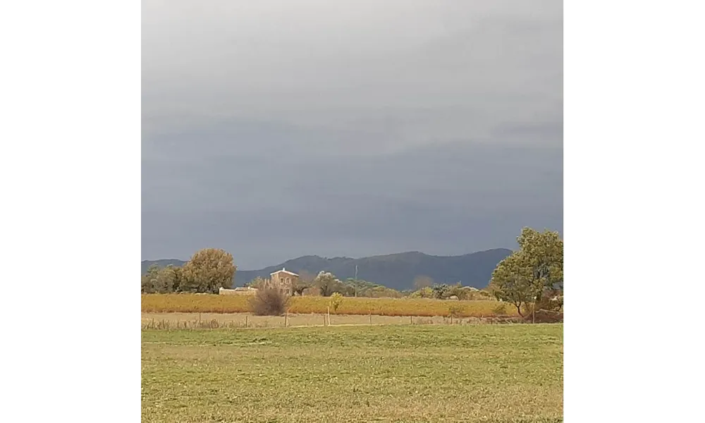 Avant l'Orage