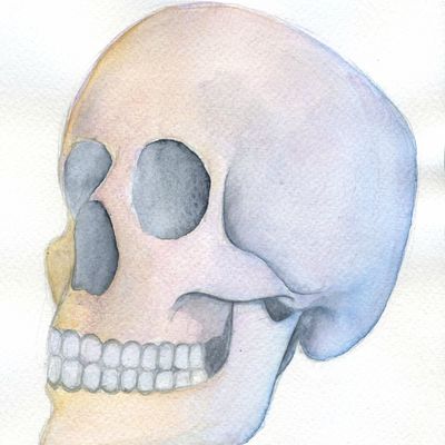 Crâne aquarelle