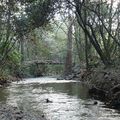 Après l'eau et le vent