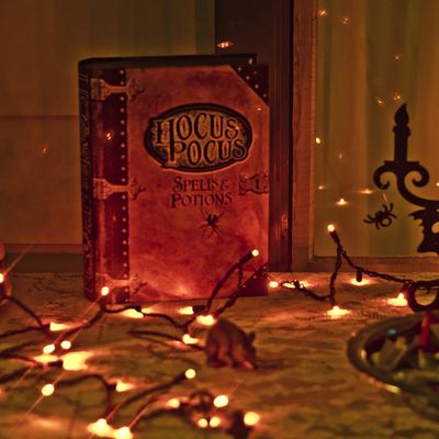 L’ÉCLAT DE L’AMOUR : VOYANCE SPÉCIALISÉE ET RETOUR AFFECTIF