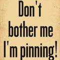 Dont' bother me, I'm pinning!