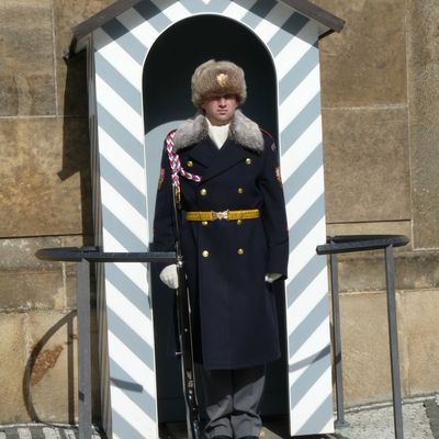 #47 - Relève de la garde