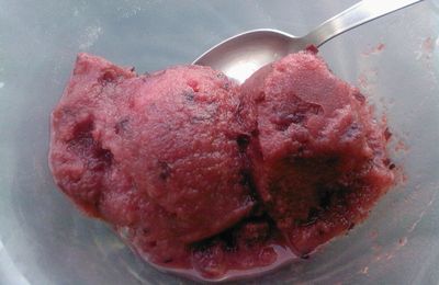 Sorbet à la Prune