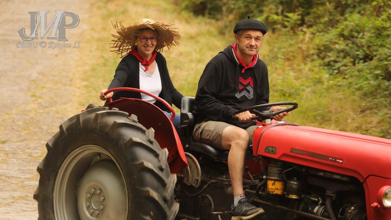 025 - Massey Ferguson : 35 - 37 CV - cm² - années 1960 – 1965