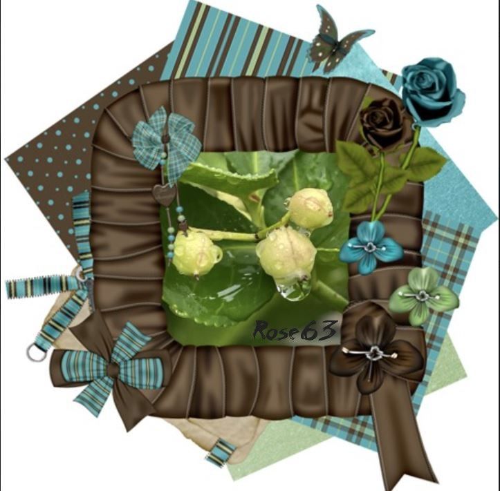 Lundi 29 sept 2025 un bol d'air au jardin c'était le 25 sept 2025 Mon diapo s'en suit 