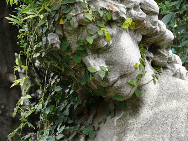 secret garden