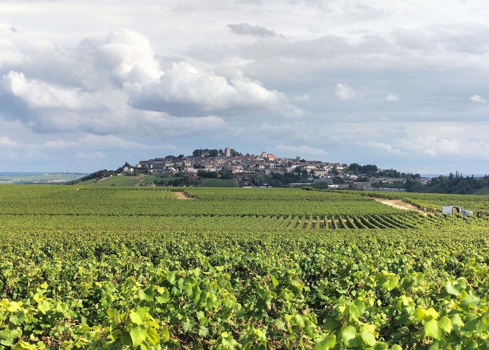 Sancerre, vue depuis les vignes (18)