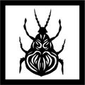 insecte 1