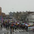 Marche blanche a bordeaux contre les pesticides