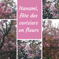 SAL "Hanami" / 3 